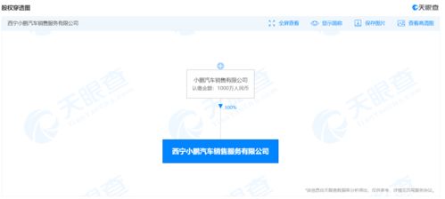 小鹏汽车新设销售服务公司，注册资本1000万并涉足域名注册服务