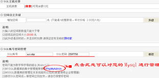 星辉互联 深耕域名与云服务，赋能企业数字化转型